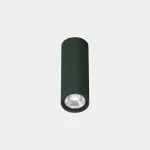 Ceiling fixture IP66 Max Big LED 20 LED extra warm-white 2200K ON-OFF Fir green 1812lm AT22-18P8F1OSE3