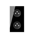 SIMON 100 W100-10020220x-138 Panel 2-krotny: 2 gniazda zasilające; czarny