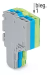 2-przewodowe gniazdo Push-in CAGE CLAMP®, szary/niebieski/żółto-zielony 2020-203/000-038