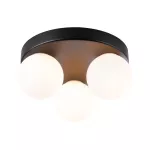 PAULMANN Lampa sufitowa łazienkowa GOVE LED G9 max.3x20W IP44 230V czarny matowy / metal