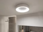 PAULMANN Plafoniera CASCA LED 23W 2100lm okrągła 400mm 2700/4000/6500K IP44 230V aluminium matowy / tworzywo sztuczne