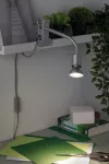 PAULMANN Lampa z klipsem FINJA GU10 max. 35W elastyczne ramię 230V chrom matowy