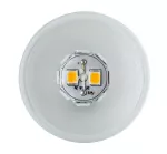 PAULMANN Źródło światła LED Maxiflood G4 12V 1,8W 2700K Opal