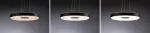 PAULMANN Lampa wisząca PURIC PANE LED 22W 400 mm 3-STEP DIM 230V czarny / szary metal