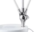 PAULMANN Lampka biurkowa NUMIS QI LED 11W 2700K-6500K 1000lm DIM + ładowanie indukcyjne 230V biały / aluminium