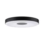 PAULMANN Plafoniera PURIC PANE LED SH Zigbee 16W DIM 2700K 400mm 230V czarny / szary /metal