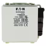 170M6538 Wkładka szybka, 315 A, AC 1250 V, size 3, 76 x 92 x 83 mm, aR, IEC, UL