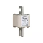 170M4009 Wkładka szybka, 250 A, AC 690 V, DIN 1, 53 x 53 x 108 mm, aR, DIN, IEC