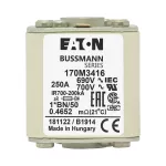 170M3416 Wkładka szybka, 250 A, AC 690 V, compact size 1, 45 x 59 x 51 mm, aR, IEC, UL, wskaźnik, flush end, M8