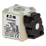 170M3462 Wkładka szybka, 100 A, AC 690 V, compact size 1, 45 x 59 x 51 mm, aR, IEC, UL, wskaźnik K, flush end, M8