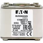 170M5412 Wkładka szybka, 630 A, AC 690 V, size 2, 61 x 77 x 51 mm, aR, IEC, UL, wskaźnik, flush end, M10