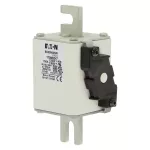 170M5247 Wkładka szybka, 700 A, AC 1250 V, size 2, 61 x 77 x 138 mm, aR, DIN, IEC