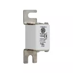 170M4811 Wkładka szybka, 125 A, AC 1000 V, size 00, 30 x 47 x 98 mm, aR, DIN, IEC