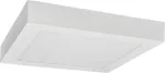 LED90 FENIX-S White 18W WW Oprawa LED natynkowa n/t (Downlight LED)