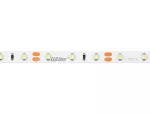 LED line® Taśma 300 SMD 12V 6500K 4,8W
