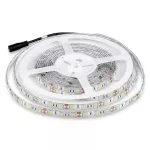 10.8W Taśma LED / Barwa:6000K / IP65 / Rolka:5m