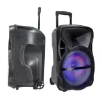 50W Przenośny głośnik karaoke bluetooth /gniazdo USB /slot na kartę micro SD/gniazdo AUX/2x Mikrofon/Podświetlenie LED (38 cm)