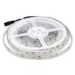 11W Taśma LED / Barwa:6400K / IP65 / Rolka:5m