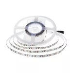 8W Taśma LED / Barwa:6400K / IP20 / Zasilanie: 24V / Rolka:5m