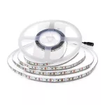 7.5W Taśma LED / Barwa:3000K / IP20 / Zasilanie: 24V / Wzmocniony podkład PCB / Rolka:10m