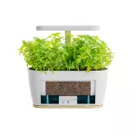 Extralink Smart Garden | Inteligentna doniczka | Wi-Fi, Bluetooth