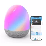 Govee H6057 Night Light | Lampa LED | RGBICW, 100lm, 3000mAh, Wi-Fi, Bluetooth, Alexa, Google Assistant