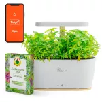 Extralink Smart Garden + Zestaw Zioła | Inteligentna doniczka | Wi-Fi, Bluetooth