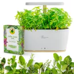 Extralink Smart Garden + Zestaw Zioła | Inteligentna doniczka | Wi-Fi, Bluetooth