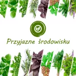 Extralink Smart Garden + Zestaw Zioła | Inteligentna doniczka | Wi-Fi, Bluetooth