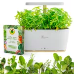 Extralink Smart Garden + Zestaw Warzywa | Inteligentna doniczka | Wi-Fi, Bluetooth