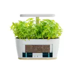 Extralink Smart Garden + Zestaw Warzywa | Inteligentna doniczka | Wi-Fi, Bluetooth