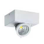 Oprawa sufitowa COB LED IGOR LED D 6W WHITE NW