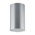 Oprawa sufitowa OTTO GU10 INOX