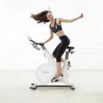 Yesoul Spin Bike M1 Biały | Rower treningowy |