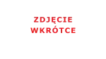 Bit płaski 1,0 x 5,5 FELO - 100 mm