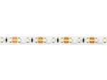 *LED line® Taśma 600 SMD 12V 11000K 9,6W