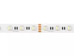 LED line® Taśma 300 SMD 24V 6500K RGBW 19,2W