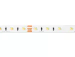 LED line® Taśma 300 SMD 24V 3000-6500K 9,6W MULTIWHITE