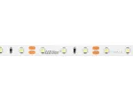 LED line® Taśma 300 SMD 12V 6500K 4,8W