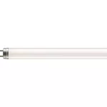 PILA LED tube 600mm 8W 840 G13 CL Świetlówka LED