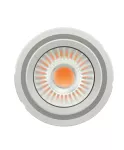 Moduł PANEL-CN111-COB-4300-840-60D-G2 FS1 OSRAM