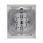 202 EUJB-84 SCHUKO double socket outlet, full cover