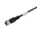 SAIL-M12BG-4-2.5V Kabel czujnikowy, nr.katalogowy 1925580250