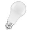 Lampa LED antybakteryjna LC Classic A100 13W 865 230V FR E27