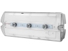 Oprawa HELIOS IP65 LED 3x1W 8-14m 3h jednozadaniowa 230V