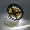 Taśma LED 300 14.4W/m 6500K 800lm/m 12V IP20 /5m/