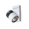 ASTOR LED SLM PremiumWhite, L15, projektor stropowy 36W/3000lm/13D/930, biały sygnałowy (mat struktura) RAL 9003