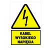Znak elektryczny ostrzegawczy 148x210 