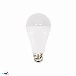 ŹRÓDŁO LED SAMSUNG INSIDE 230V E27 A65 20W 2500LM 6500K CW