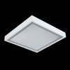 RUBIN CLEAN LED 5500 MICRO-LINE E IP65 YELLOW / 620X620